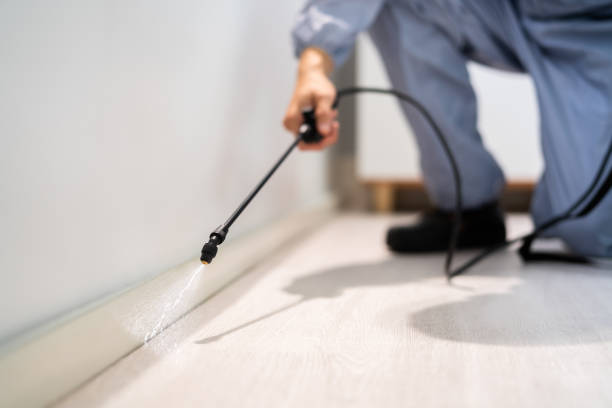 Licensed Exterminator service in Round Rock, TX - Show Me Pest Control