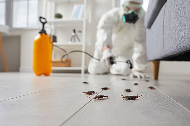 Commercial Kitchen Cockroach Control in Round Rock